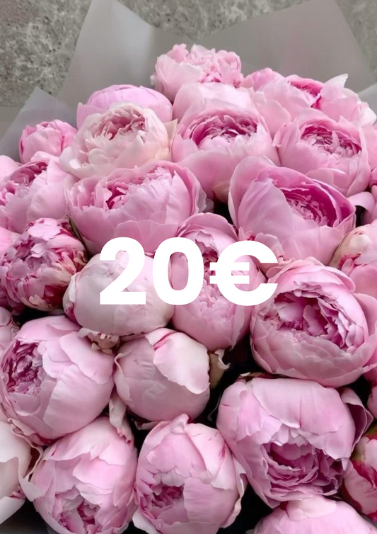 San Jordi 20€