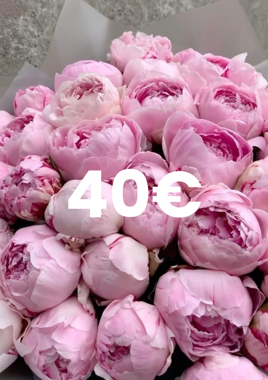 San Jordi 40€