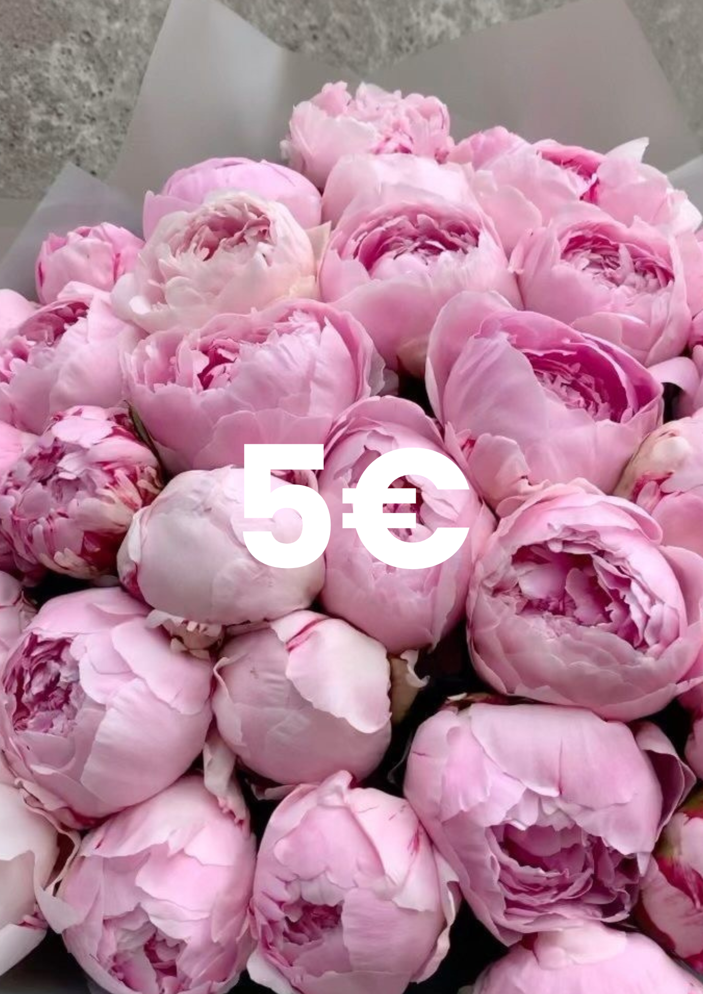 San Jordi 5€